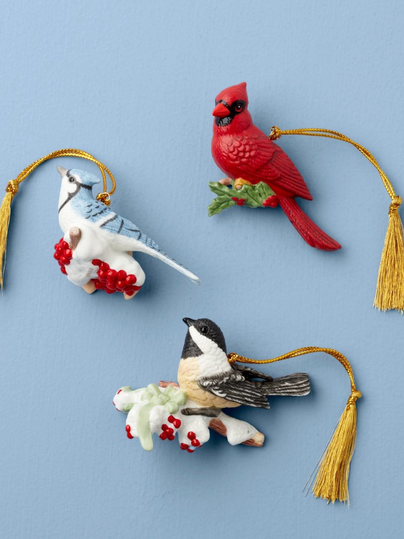Winter Birds Ornaments - Set Of 3